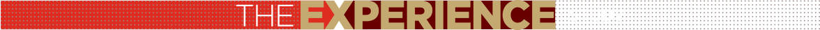 The Experience Logo