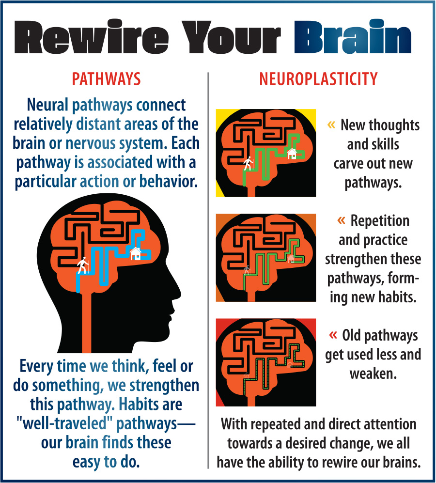 rewire your brain diagram showing pathways and neuroplasticity