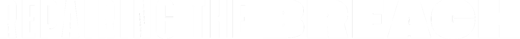 Repairing the Breach text