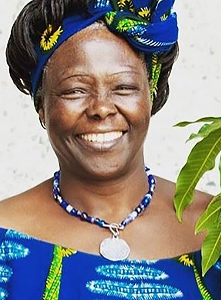 A headshot portrait photograph of Dr. Wangari Maathai smiling