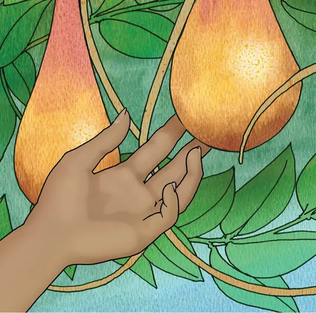 Illustration of hand grabbing fruit