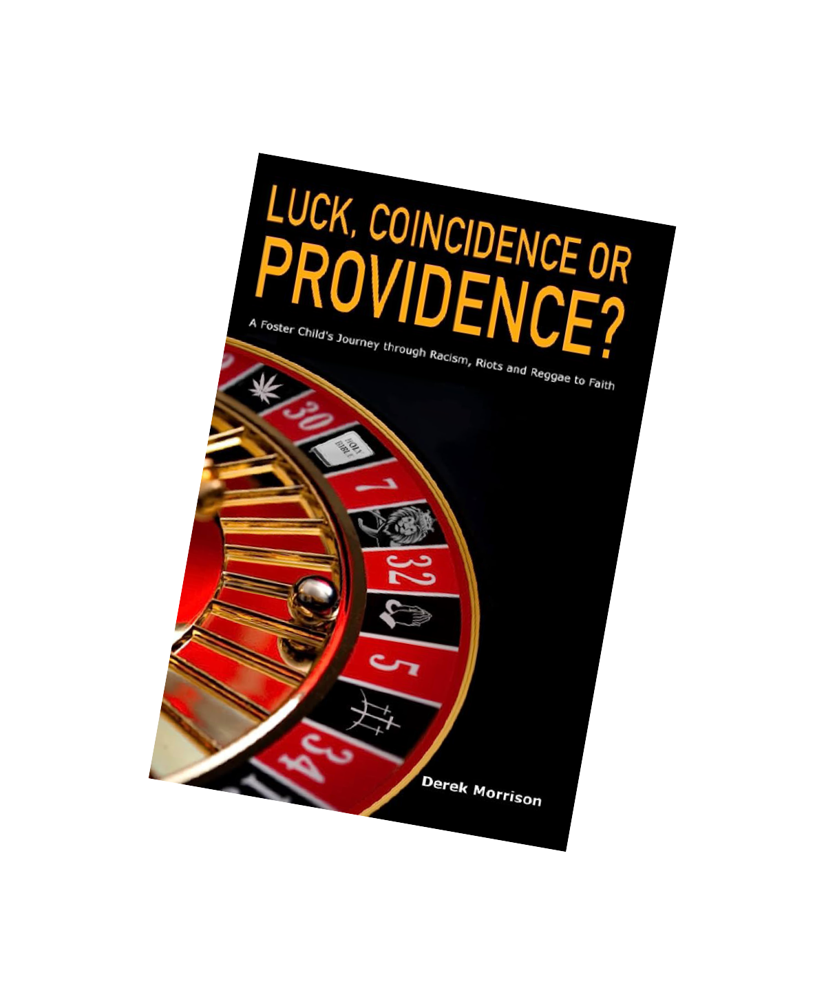 Luck, Coincidence or Providence? book cover