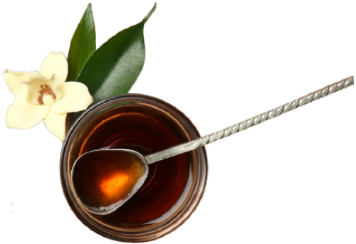 Close-up photo view of a small circular glass shape of liquid with a spoon inside it and a small flower nearby outside the circular glass shape