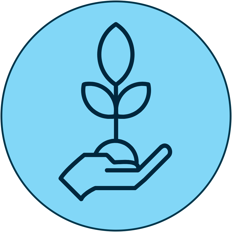 line illustration of a hand holding a small leafy plant