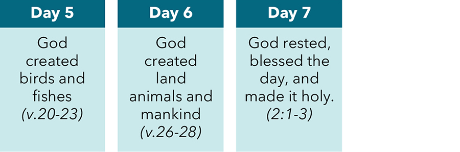 Day 5, 6, and 7