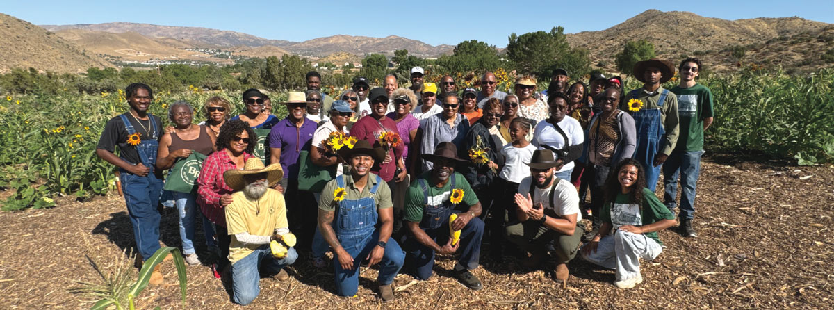A group of people outdoors in a rural landscape, some holding sunflowers.