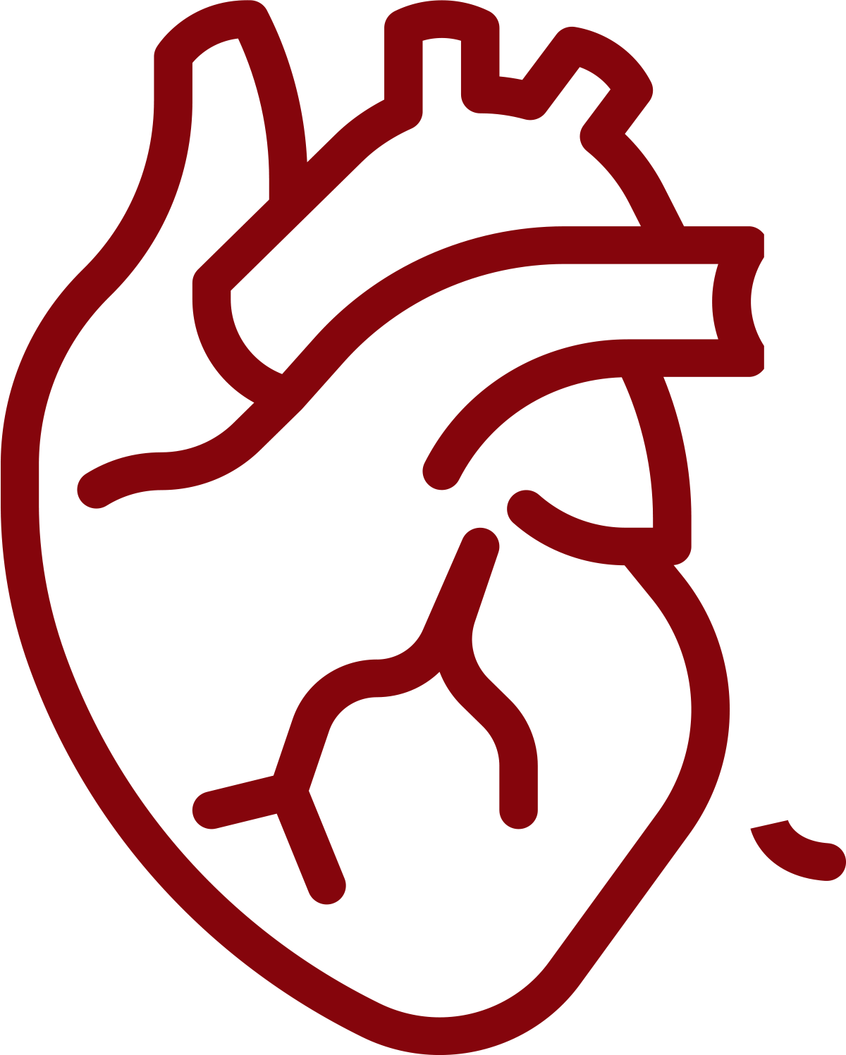 digital outline of anatomical heart