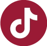 Tiktok icon